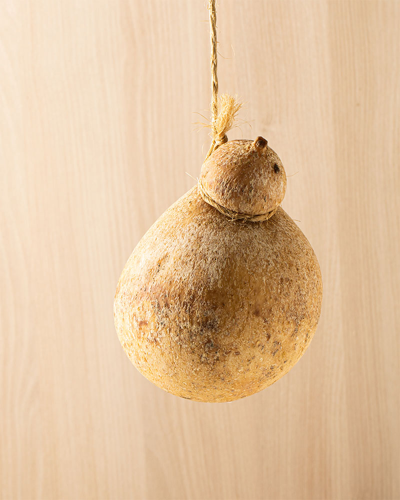 caciocavallo-stravecchio