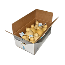 CARTONE 8PZ