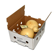 CARTONE 2PZ